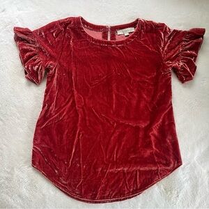 LOFT Pink Velvet Top, Size XS